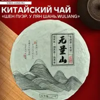 Чай зелёный китайский выдержанный &laquo;Шен Пуэр.У Лян Шань.Wuliang&raquo;, Юньнань, 2020 г, блин, 100 г