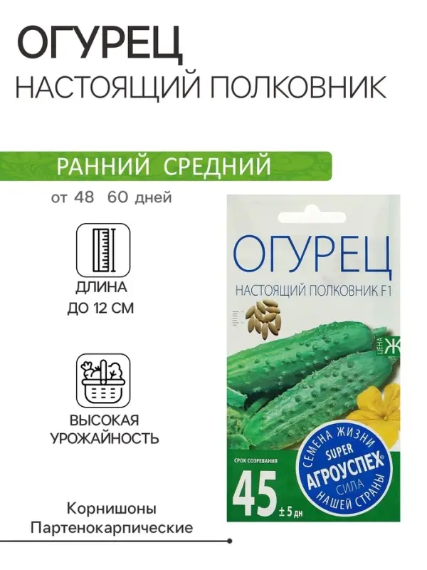 Семена Огурец &laquo;Настоящий полковник&raquo;, F1, ранний, партенокарпический, 8 шт., &laquo;Агроуспех&raquo;