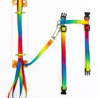 Комплект для кошек &laquo;Радуга&raquo;, ОШ 16.5-27, ОГ 21-35 см, ширина 1 см, поводок 120 см