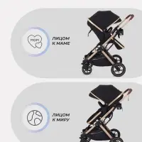 Коляска - трансформер детская RANT basic PULSAR GOLD (2в1) RA160, черный