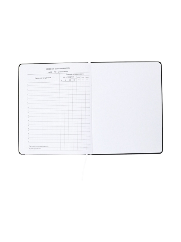 Дневник школьный 1-11 класс, deVENTE.Super Spy, искусственная кожа, поролон