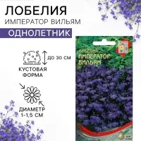 Семена цветов Лобелия &laquo;Император Вильям&raquo;, 1000 шт., &laquo;Дом семян&raquo;