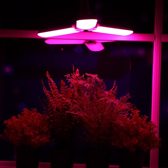 Фитолампа светодиодная, E27, 24 Вт, IP 20, 220 В, трехлепестковая, складная, мультиспектральная 7391 Фитолампа светодиодная, E27, 24 Вт, IP 20, 220 В, трехлепестковая, складная, мультиспектральная 7391