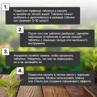 Набор для рассады: торфяная таблетка d=4.1 см, 12 шт., кассета на 12 ячеек по 40 мл, поддон 20.5&times;17 см, зелёный, пластик, Экоторф