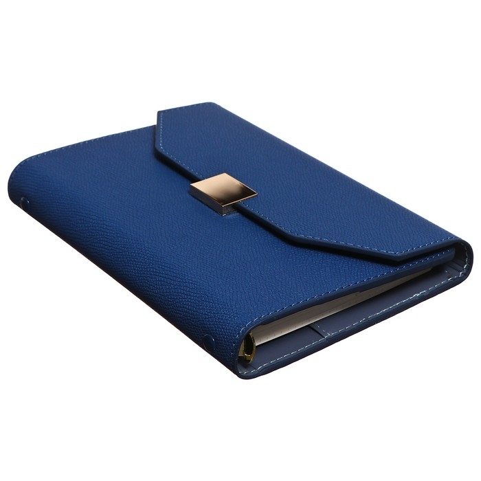 Органайзер на кольцах А6+, 80 листов, кожзам, c клапаном, линия, с ручкой, в подарочной коробке, синий Органайзер на кольцах А6+, 80 листов, кожзам, c клапаном, линия, с ручкой, в подарочной коробке, синий