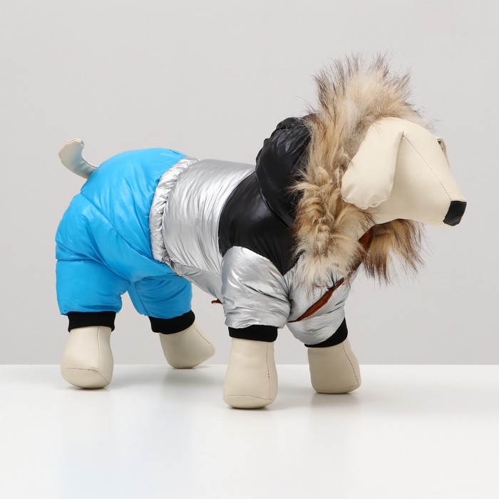 Комбинезон Комбинезон "Пушок", размер 16 (ДС 36 см, ОГ 46 см, ОШ 35 см), голубой