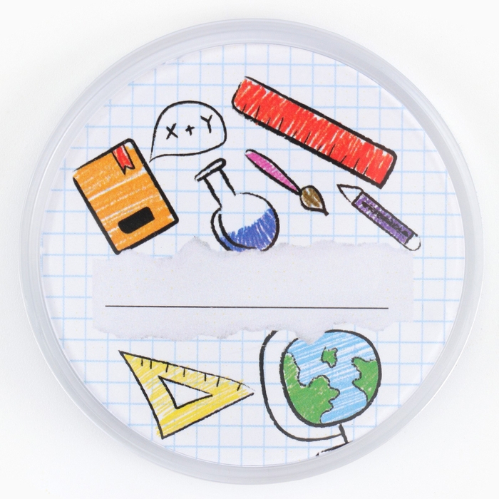 Значок пластиковый, с вставкой «Школьный», d=5 см Значок пластиковый, с вставкой «Школьный», d=5 см