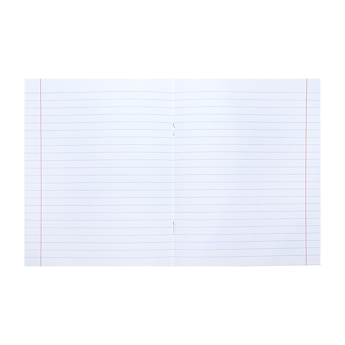 Тетрадь предметная "Тетрадочка", 48 листов в линию "Литература", обложка мелованный картон, выборочный лак, со справочным материалом