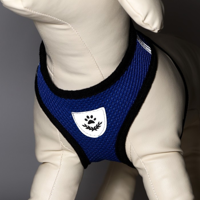 Комплект амуниции с мягкой шлейкой и светоотражающей нашивкой, XL,ОШ 40 см, ОГ 46-60 см,синий Комплект амуниции с мягкой шлейкой и светоотражающей нашивкой, XL,ОШ 40 см, ОГ 46-60 см,синий