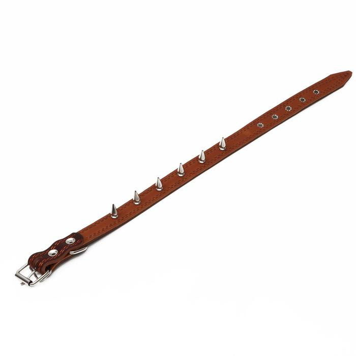 Ошейник кожаный  Ошейник кожаный "Строгий шип", 56 х 2.5 см, ОШ 35-45 см, коричневый