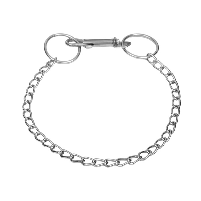 Ошейник металлический 43 см х 2 мм Ошейник металлический 43 см х 2 мм