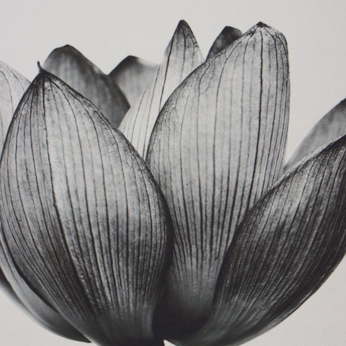 Коврик для ванной Этель Коврик для ванной Этель "Home", 48х78 см