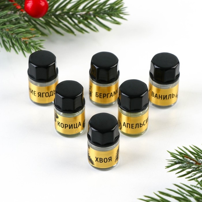 Аромамасла новогодние «Добро пожаловать в Новый год», на Новый год, набор 6 шт, 3 мл Аромамасла новогодние «Добро пожаловать в Новый год», на Новый год, набор 6 шт, 3 мл