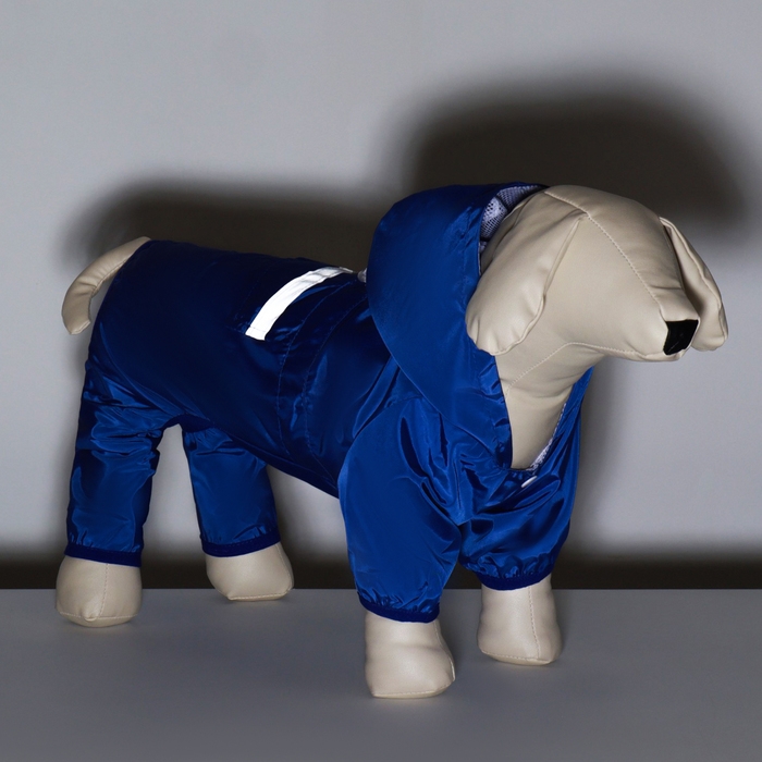 Комбинезон для собак, демисезонный с подкладом, размер L (ДС 32, Ог 48 см), синий Комбинезон для собак, демисезонный с подкладом, размер L (ДС 32, Ог 48 см), синий