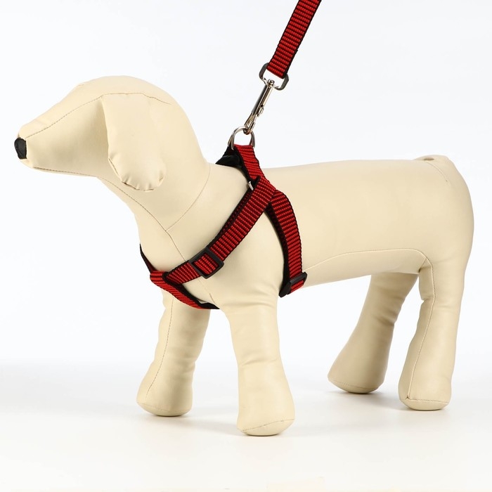 Комплект амуниции рельефный, поводок 120 х 2 см, ОГ 44-50 см, красно-чёрный Комплект амуниции рельефный, поводок 120 х 2 см, ОГ 44-50 см, красно-чёрный