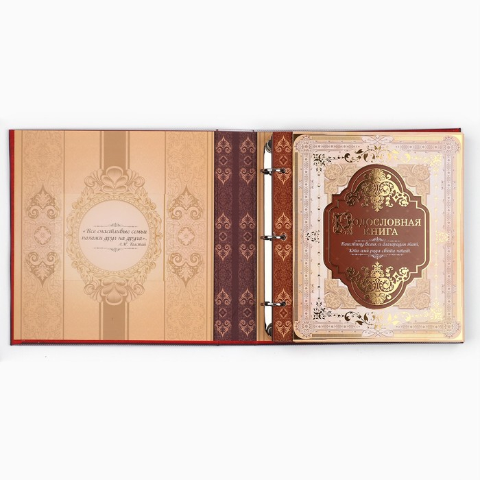 Родословная книга с рамкой под фото «Семейная книга», 50 листов, 21,5 х 23,7 см. Родословная книга с рамкой под фото «Семейная книга», 50 листов, 21,5 х 23,7 см.