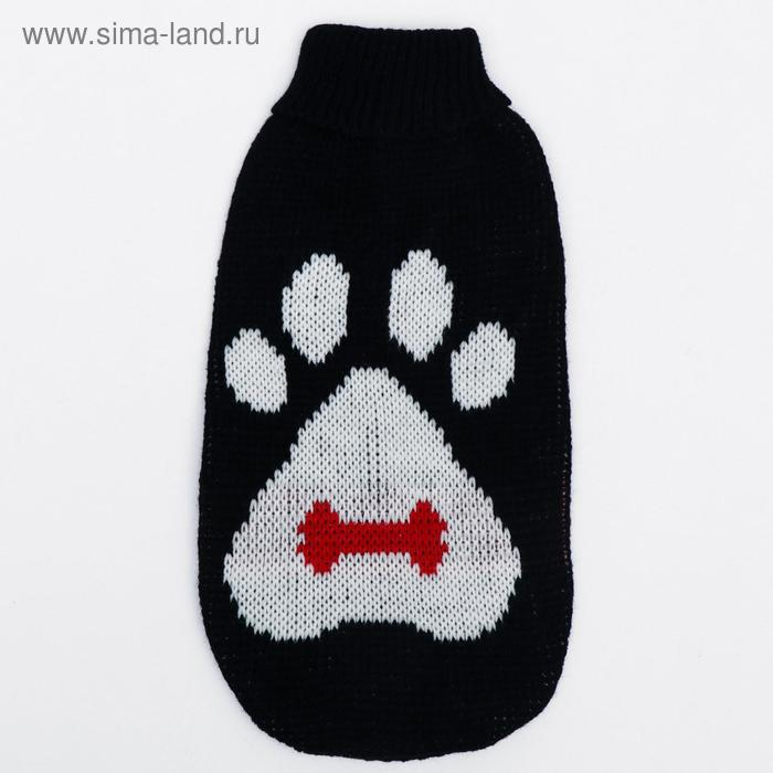 Свитер, размер 10 (ДС 30-45, ОШ 16-31, ОГ 30-45 см), микс расцветок Свитер, размер 10 (ДС 30-45, ОШ 16-31, ОГ 30-45 см), микс расцветок