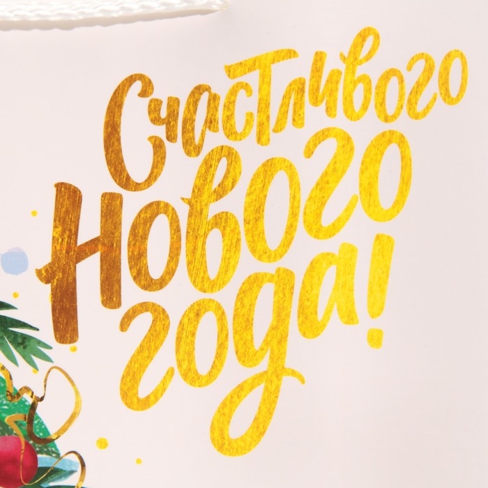 Пакет подарочный новогодний «Звезда», 30 х 23 х 10 см, Новый год Пакет подарочный новогодний «Звезда», 30 х 23 х 10 см, Новый год