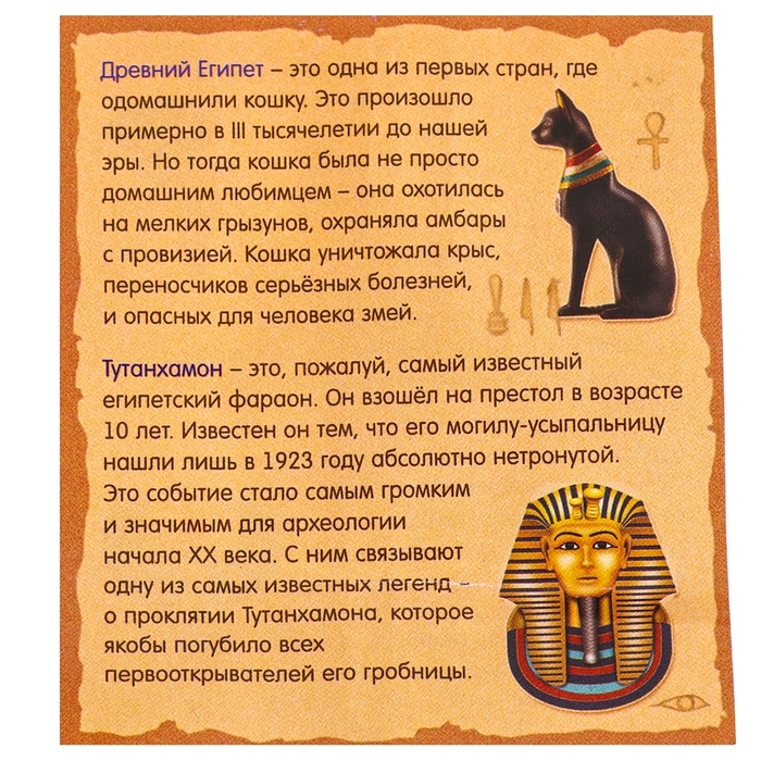 Набор для раскопок «Сокровища древнего Египта»