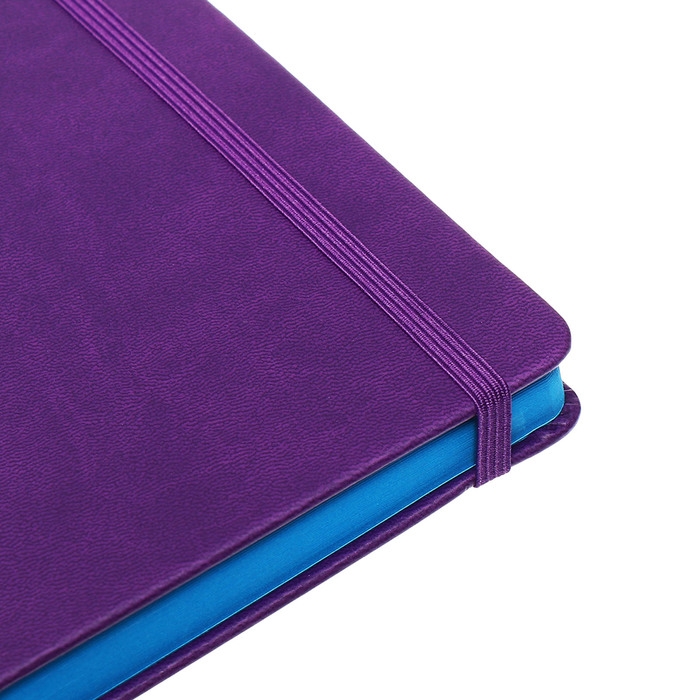 Ежедневник недатированный A5, 140л, клетка, кожзам, на резинке, синий срез, Фиолетовый Ежедневник недатированный A5, 140л, клетка, кожзам, на резинке, синий срез, Фиолетовый
