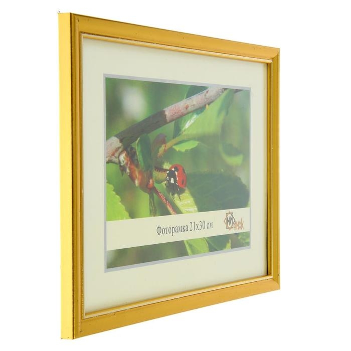 Фоторамка 1017-1056 формат А4 (21х30 см) Фоторамка 1017-1056 формат А4 (21х30 см)