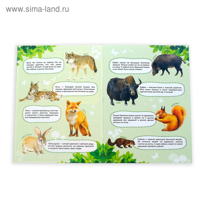 Набор книг с наклейками «Первые энциклопедии малыша», 4 шт. № 1