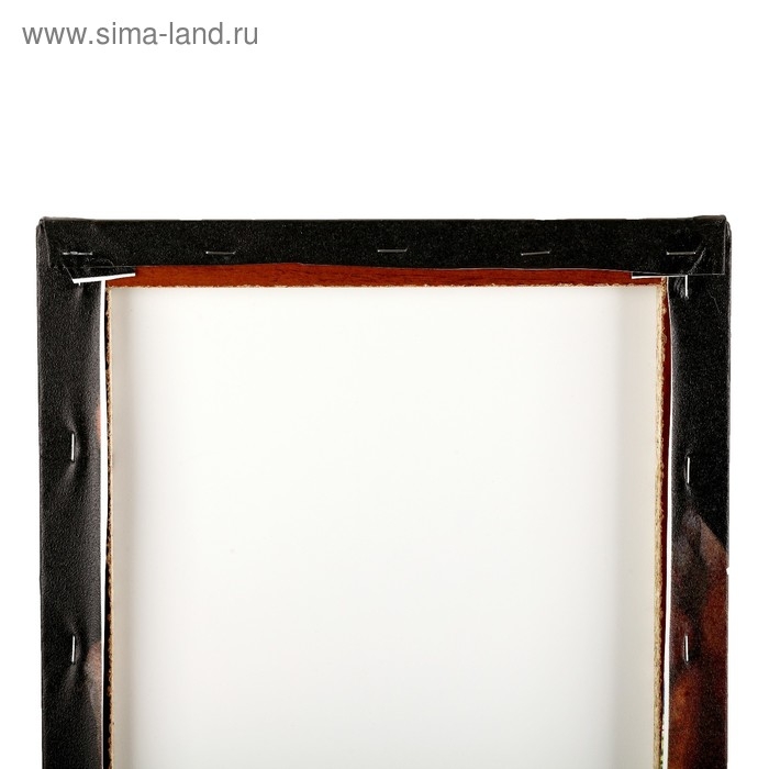 Модульная картина  Модульная картина "Три лошадки" (2-25х50, 30х60см) 60х80 см