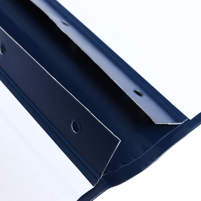 Папка архивная для переплета Calligrata  Папка архивная для переплета Calligrata "Форма 21", с гребешками, 4 отверстия, с 2 завязками, 70 мм