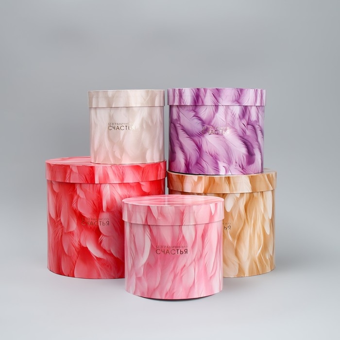 Набор шляпных коробок 5 в 1, упаковка подарочная, «Перья», 13 х 14 ‒ 19.5 х 22 см