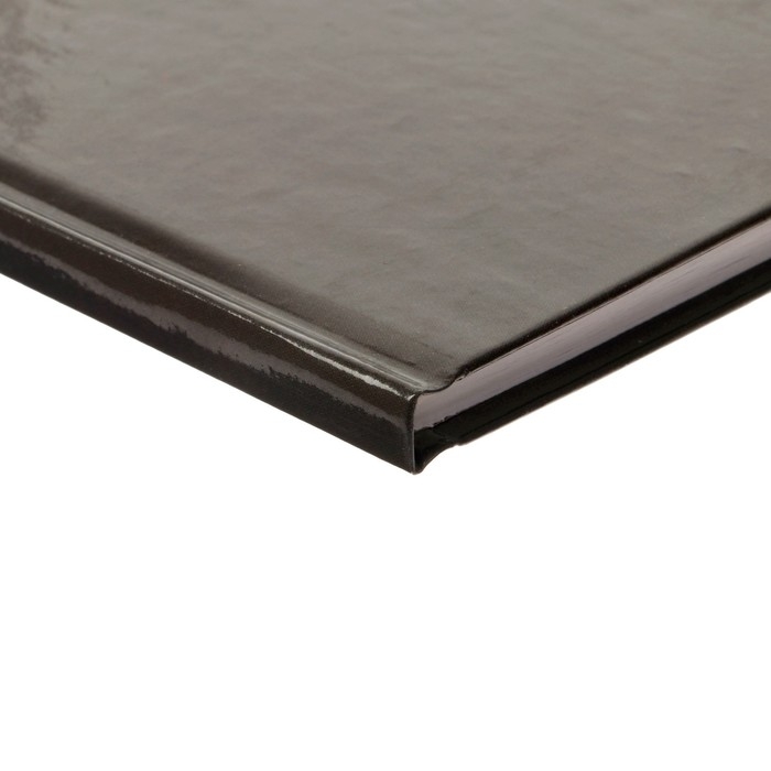 Дневник для 5-11 классов, "Сова", твердая обложка 7БЦ, глянцевая ламинация, 48 листов