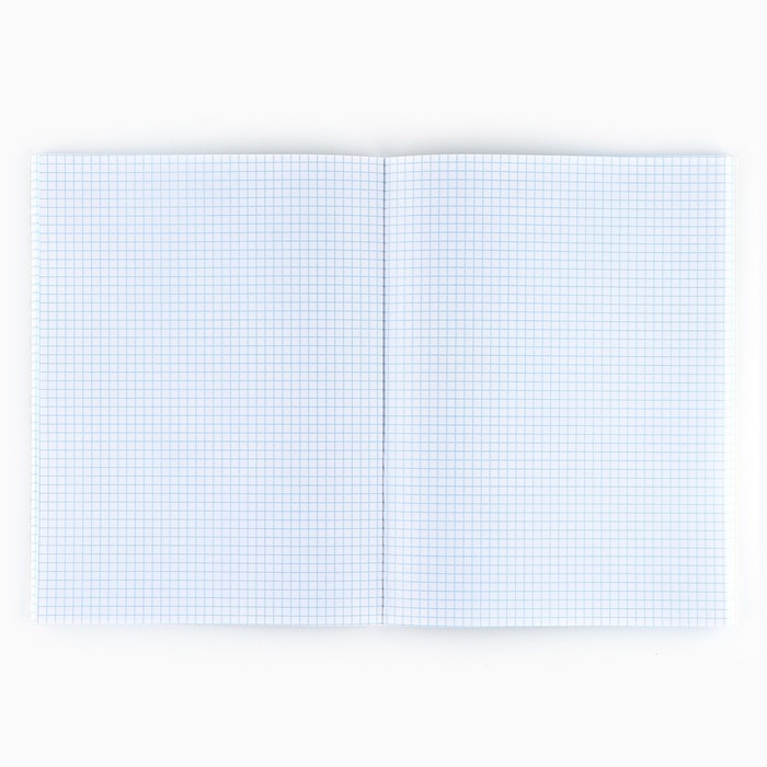 Тетрадь в клетку А4 в клетку, 96 листов на скрепке «1 сентября:Розовая текстура» Тетрадь в клетку А4 в клетку, 96 листов на скрепке «1 сентября:Розовая текстура»