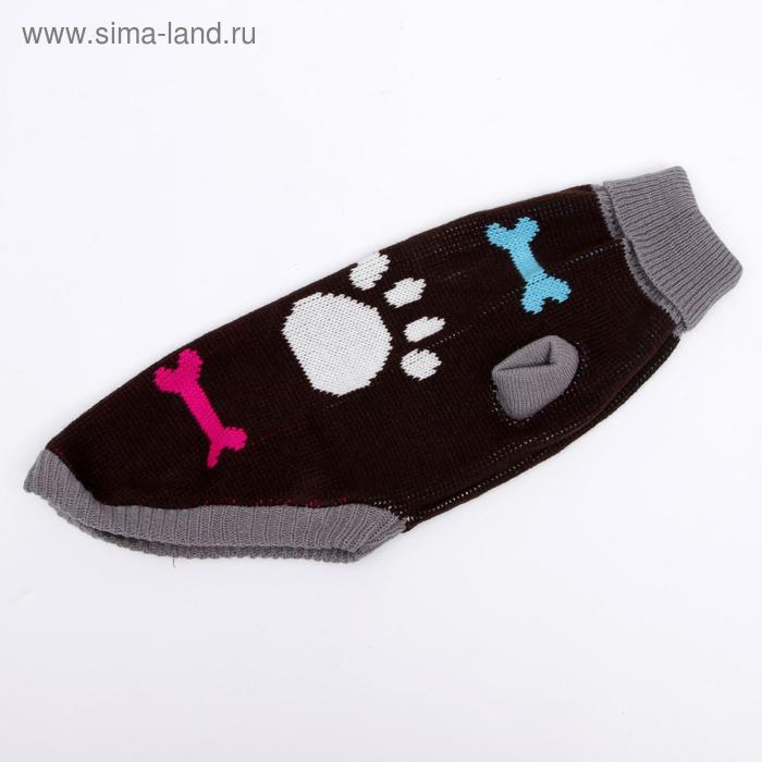 Свитер, размер 16 (ДС 45-60, ОШ 20-37, ОГ 37-52 см), микс расцветок Свитер, размер 16 (ДС 45-60, ОШ 20-37, ОГ 37-52 см), микс расцветок