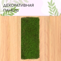 Декоративная панель, 90 × 40 см, «Папоротник», Greengo