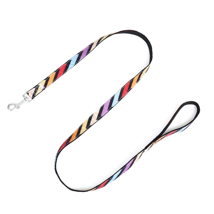 Комплект амуниции двухслойный, размер L, поводок 120 х 2 см, ОШ 31-45 см , ОГ 35-52 см, разноцветный Комплект амуниции двухслойный, размер L, поводок 120 х 2 см, ОШ 31-45 см , ОГ 35-52 см, разноцветный