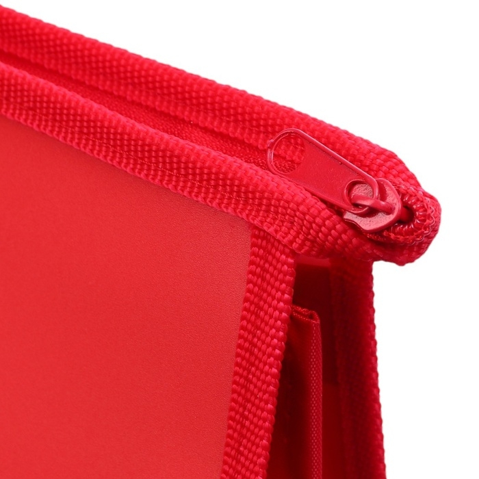 Папка пластиковая А4, на молнии, Тачки Папка пластиковая А4, на молнии, Тачки