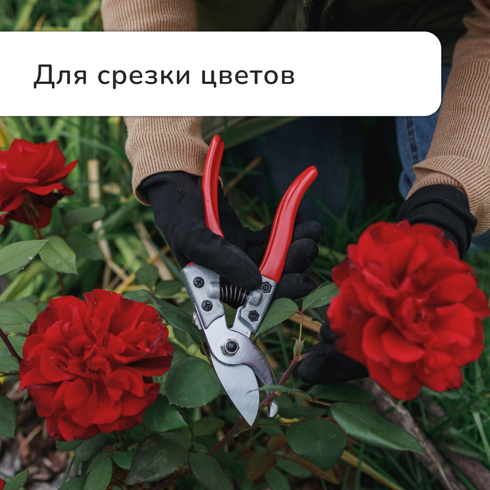 Секатор плоскостной, 8 Секатор плоскостной, 8" (20 см), обрезиненные ручки, Greengo