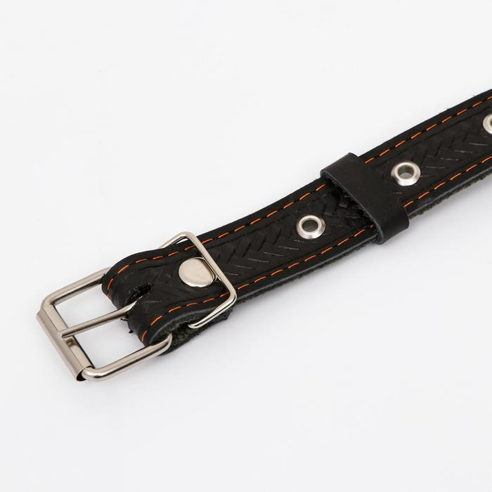 Ошейник комбинированный безразмерный, кожа/брезент, 60 х 3 см, ОШ 30-57 см, чёрный/зелёный Ошейник комбинированный безразмерный, кожа/брезент, 60 х 3 см, ОШ 30-57 см, чёрный/зелёный