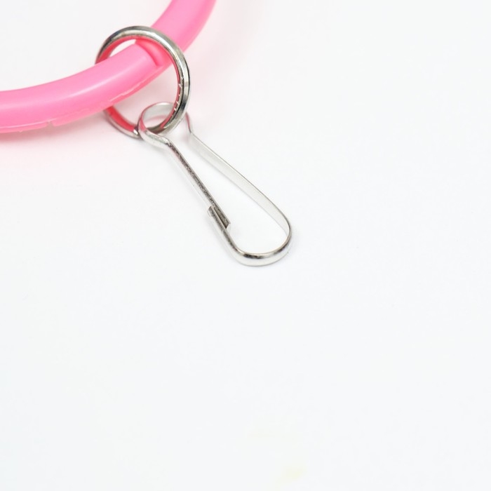 Игрушка для птиц  Игрушка для птиц "Разноцветные кольца" 5 шт