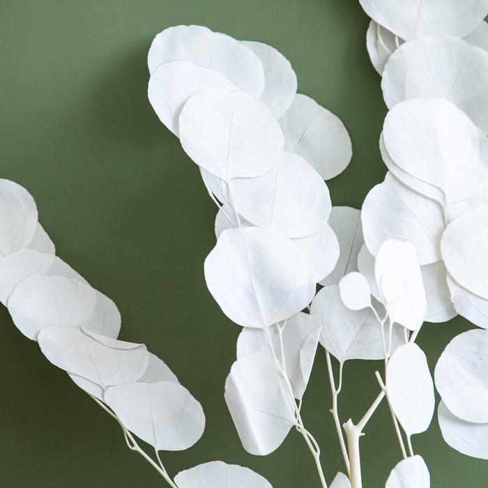 Сухоцвет персикого дерева, 50 г, длина — 70 см, цвет белый Сухоцвет персикого дерева, 50 г, длина — 70 см, цвет белый