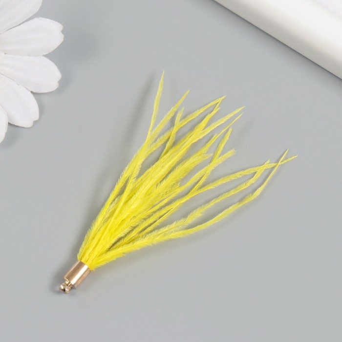 Декор для творчества перо Декор для творчества перо "Кисть Страус" набор 2 шт жёлтый 9х0,5 см