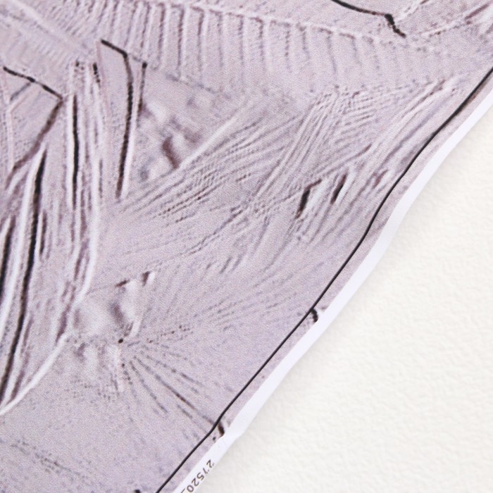 Фотофон винил Фотофон винил "Барельеф птицы" 120х80 см