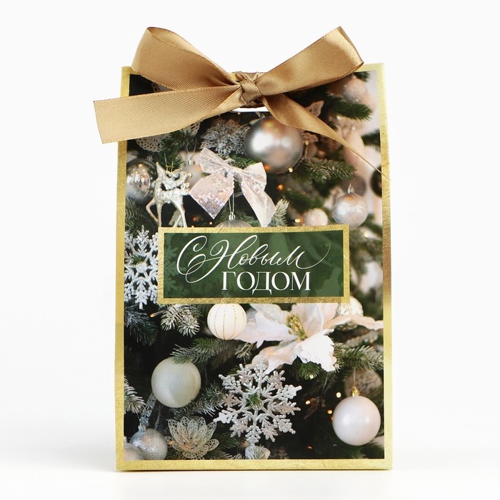 Пакет подарочный новогодний с лентой «Зима», 13 х 19 х 9 см Пакет подарочный новогодний с лентой «Зима», 13 х 19 х 9 см