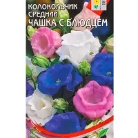 Набор семян Колокольчик многолетний &laquo;Чашка с Блюдцем&raquo;, 180 семян