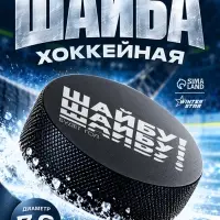 Шайба хоккейная Winter Star, взрослая, d=7.6 см
