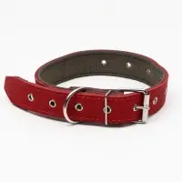 Ошейник комбинированный, безразмерный, 70&times;3.5 см, ОШ 25-60 см, кожа, брезент, красный