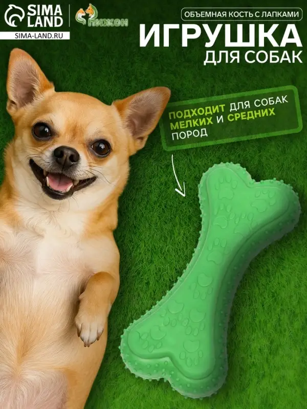 Жевательная игрушка для собак &laquo;Объемная кость с лапками&raquo;, 12 с, TPR, зелёная