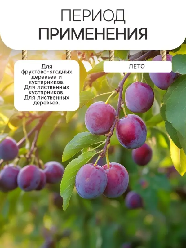 Гидрогель &laquo;Рецепты Дедушки Никиты&raquo;, гранула, 0.5 кг