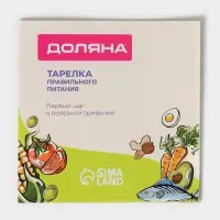Тарелка для правильного питания Доляна &laquo;Гарвардская №1&raquo;, d=23 см, 3 секции, фарфор, белая