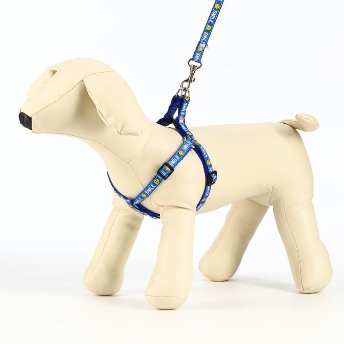 Комплект амуници Комплект амуници "Смайлик", ширина 1 см, поводок 120 см, шлейка 26-38 см, синий