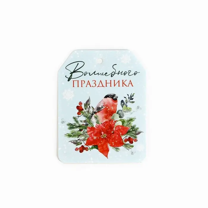 Шильдик на подарок «Верь в чудеса», набор 6 штук, 16×24 см Шильдик на подарок «Верь в чудеса», набор 6 штук, 16×24 см